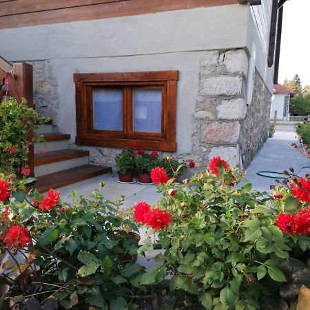 Dana Apartmani Kolaşin Dış mekan fotoğraf