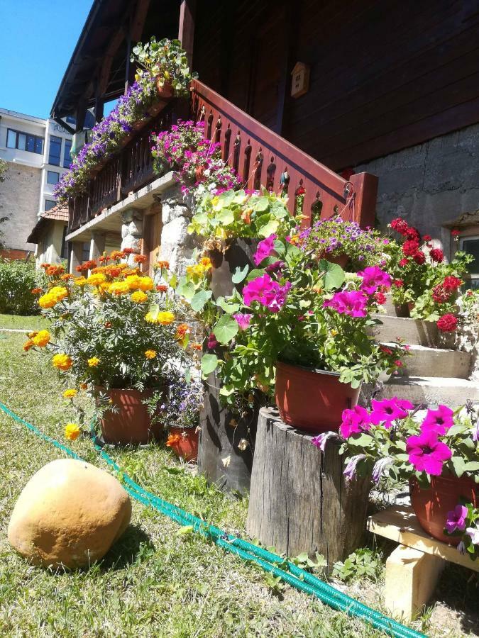 Dana Apartmani Kolaşin Dış mekan fotoğraf